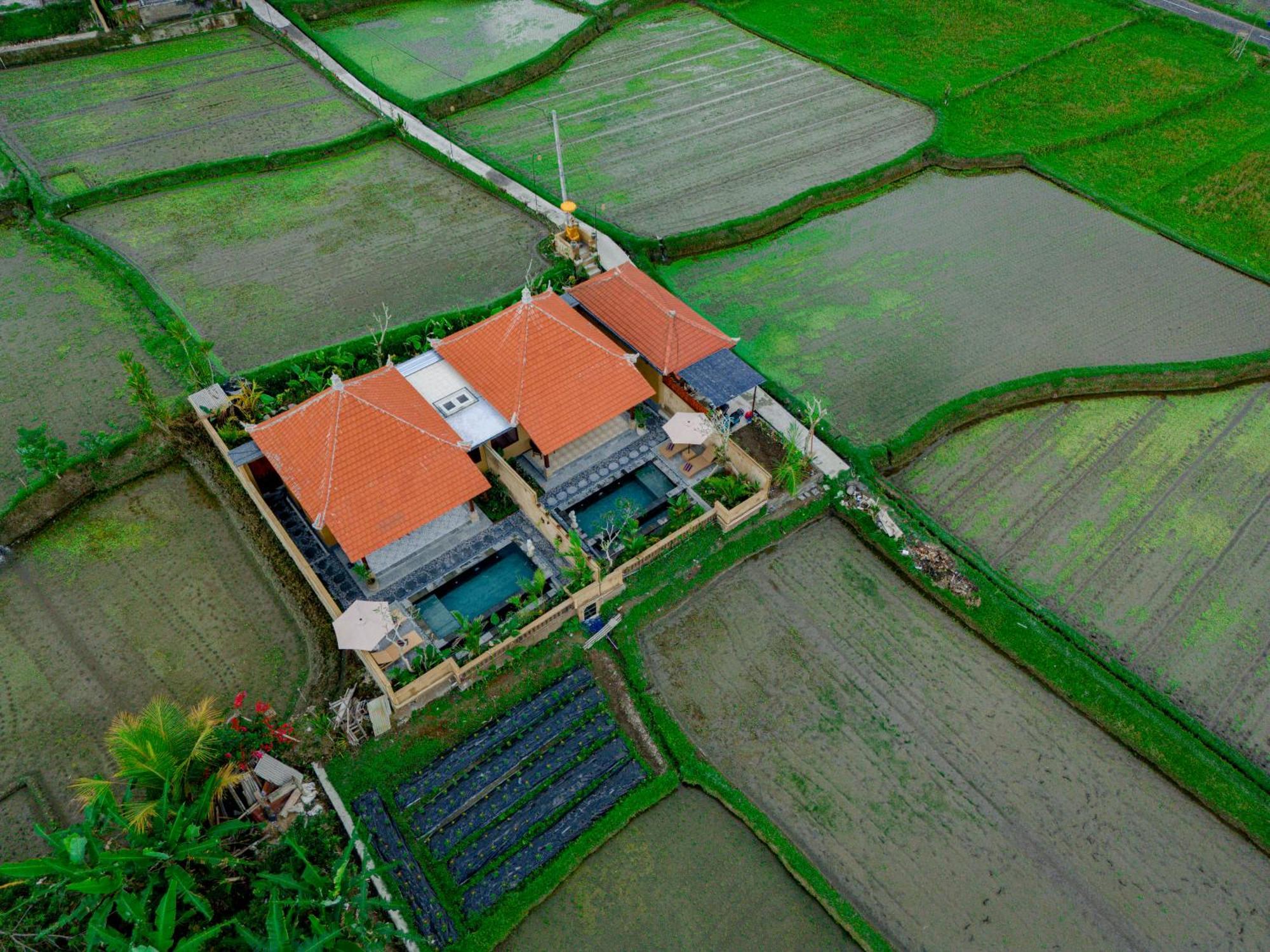 Umesari Villa Sebatu By Uniquecations Ubud  Exterior photo